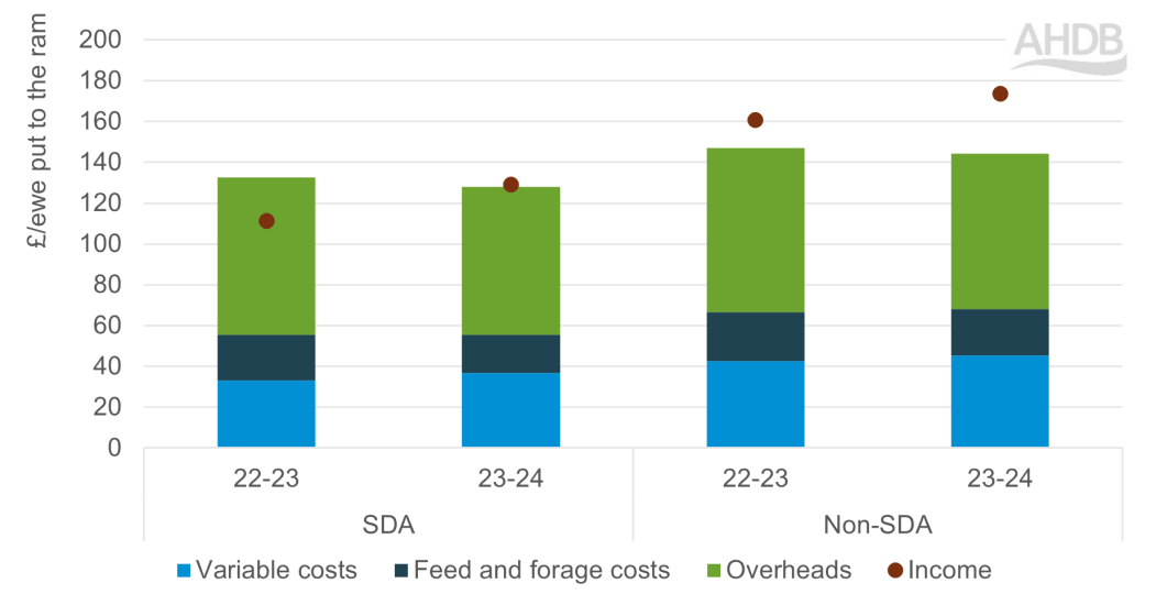 Chart showing costs and income for SDA and Non-SDA breeding sheep flocks 2022-23 vs 2023-24